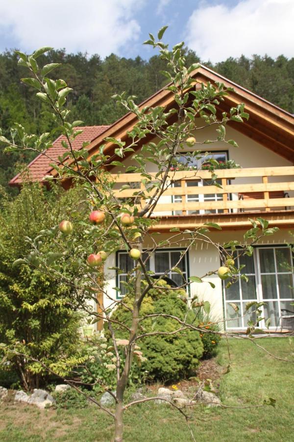 Ferienwohnung Purbach Muggendorf  外观 照片